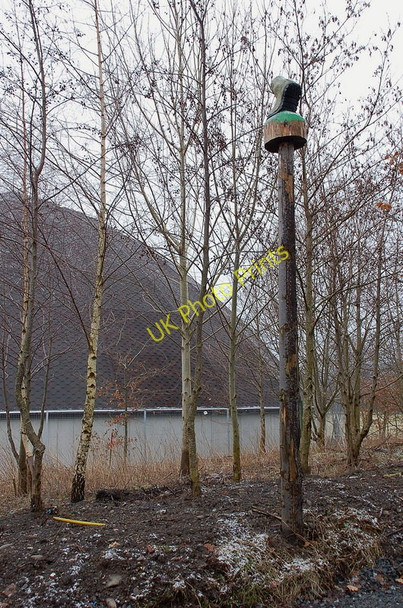 Photo 6"x4" Boot sculpture, Eshiels Peebles\/NT2540 c2011