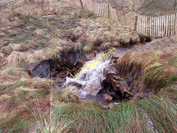 Photo 6"x4" Cumbernauld, Palacerigg Cumbernauld c2011 P2