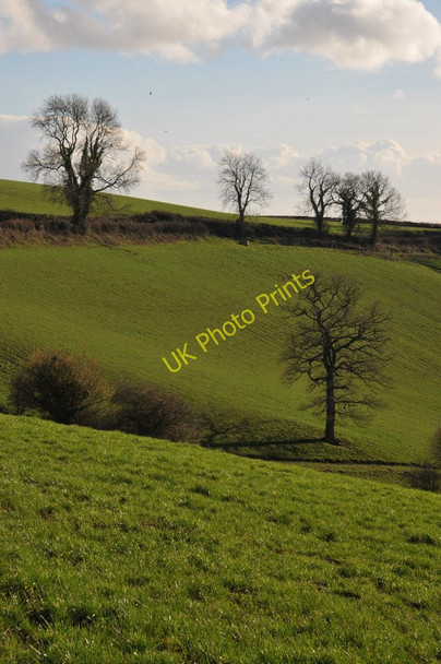 Photo 6"x4" Farmland near Coed-y-Paen Llanddewi Fach c2011