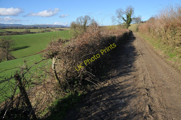 Photo 6"x4" Track and bridleway Llanddewi Fach c2011