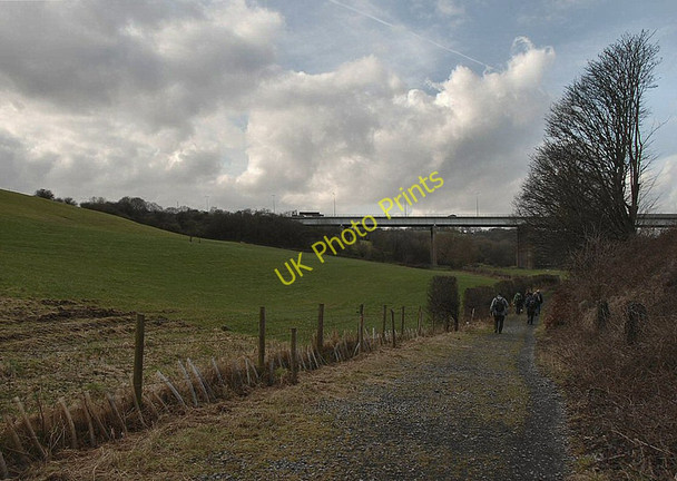 Photo 6"x4" Footpath to Dean Wood Gathurst c2011 P1