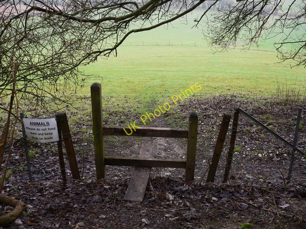 Photo 6"x4" Stile from woodland to field on the way to Woodcote Farm Graffham c2011
