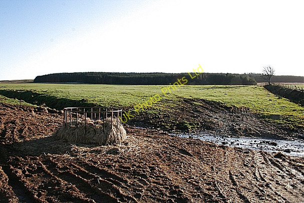 Photo 6"x4" Looking south on the Ward Haugh of Glass c2008