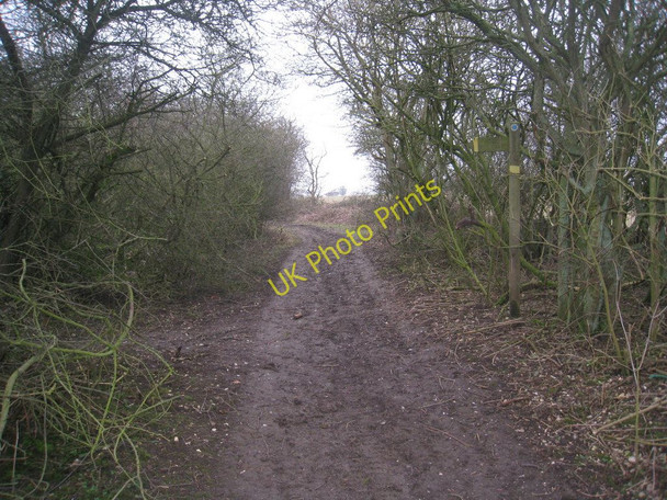 Photo 6"x4" The junction of Green Lane and the bridleway to Angus Farm Wetwang c2011