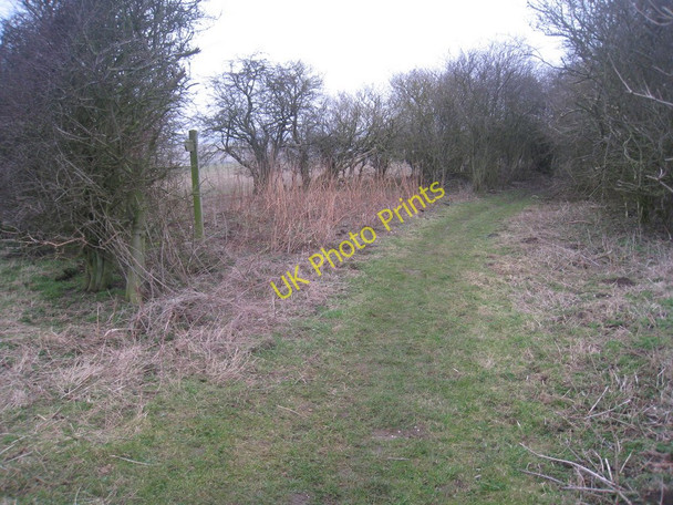 Photo 6"x4" The Chalkland Way enters Green Lane Wetwang c2011