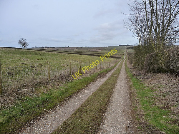 Photo 6"x4" Farmland near Hainton (2) Girsby\/TF2187 c2010