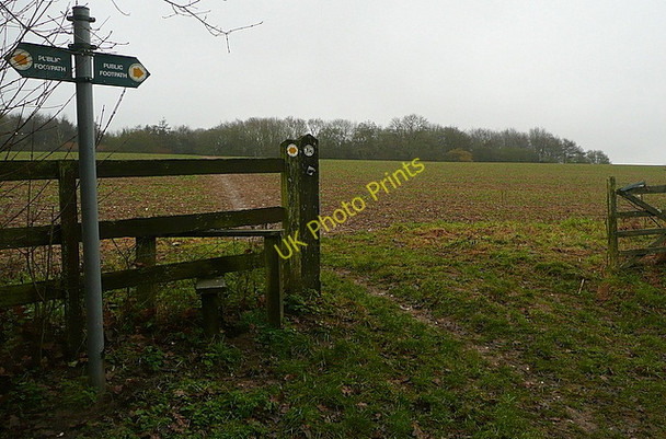 Photo 6"x4" Footpath towards Bagnor Wood Hunt's Green\/SU4370 c2011