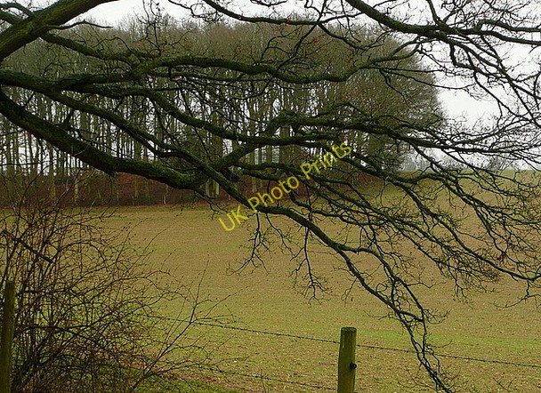 Photo 6"x4" Arable land south of Priddle's Farm Hunt's Green\/SU4370 c2011