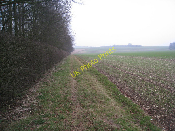 Photo 6"x4" Path alongside the shelter belt at Haywold farm North Dalton c2011
