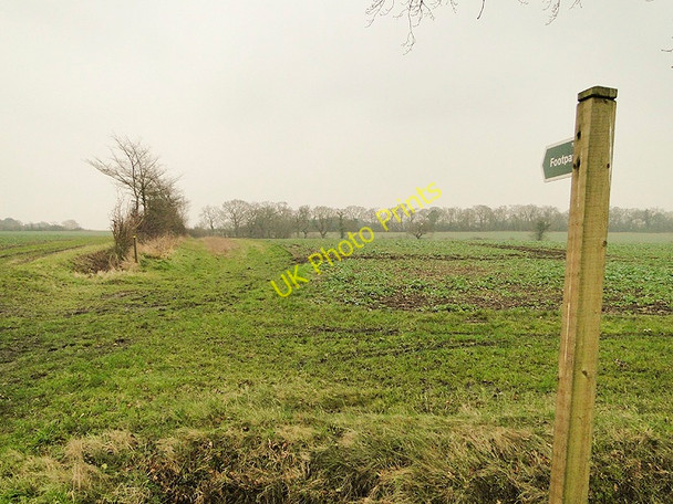 Photo 6"x4" Footpath No.20 over a field headland Bruisyard c2011
