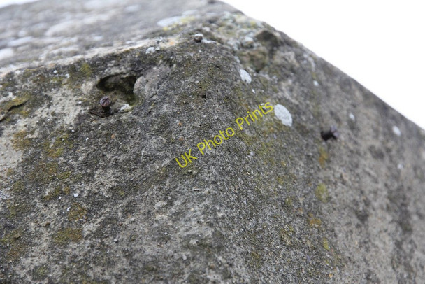 Photo 6"x4" Still in the concrete Buckland Marsh c2011
