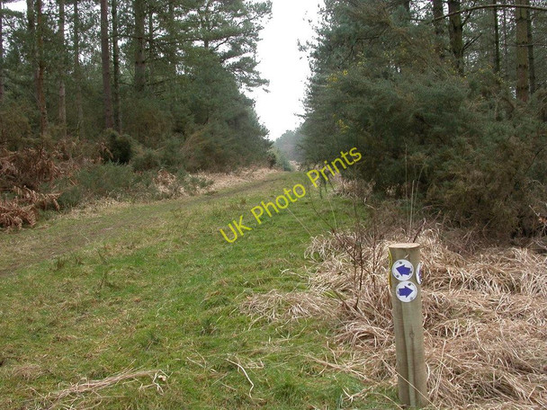 Photo 6"x4" Gotham, bridleway & footpath junction Cripplestyle c2011