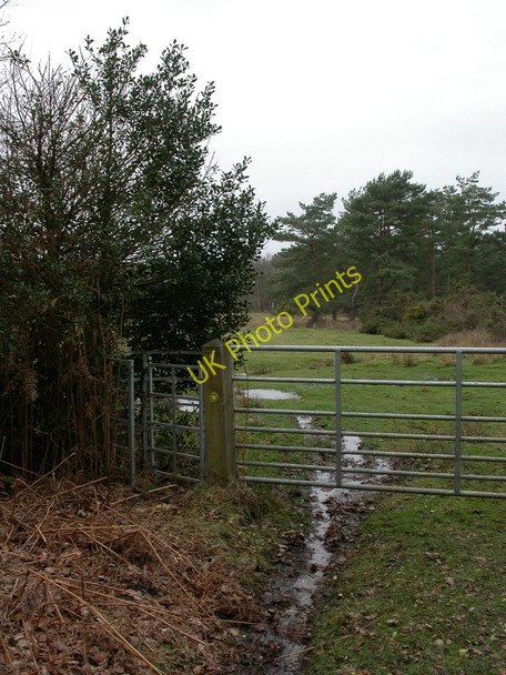 Photo 6"x4" Gotham, kissing gate Cripplestyle c2011