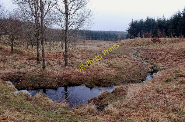 Photo 6"x4" Cairn Burn, Deepsyke Forest Carlops c2011