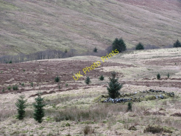 Photo 6"x4" Ruin, Glen More Ratagan c2011