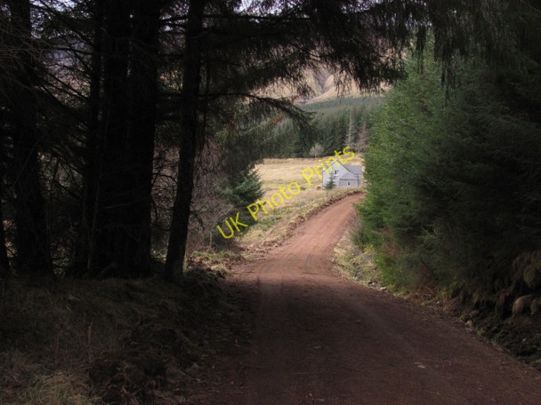 Photo 6"x4" Forest road, Ratagan Forest Ratagan c2011