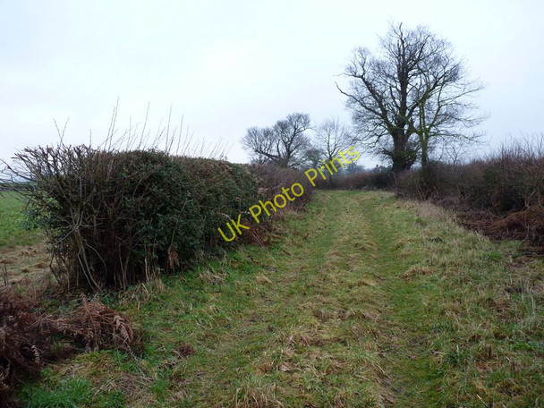Photo 6"x4" Rarely-used bridleway Newton\/SO7397 c2011