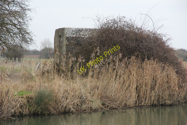 Photo 6"x4" Peeking through the ... Buckland Marsh c2011