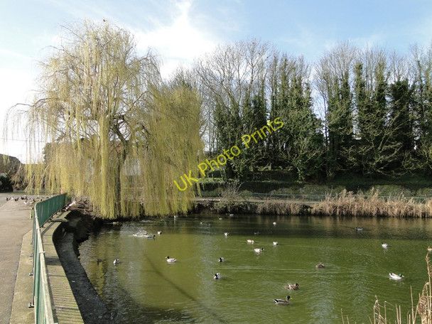 Photo 6"x4" The duck pond at Swaffham Swaffham c2011