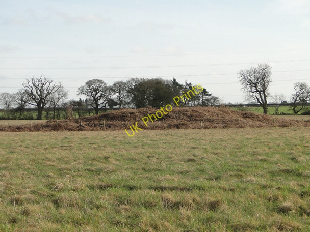 Photo 6"x4" Tumulus on Weasenham Lyngs Rougham\/TF8320 c2011
