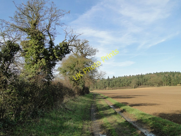 Photo 6"x4" Footpath and track to Tulip Hill East Lexham c2011