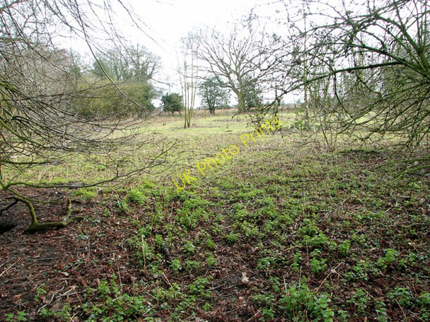 Photo 6"x4" Hales Hospital grounds Hales\/TM3897 c2011