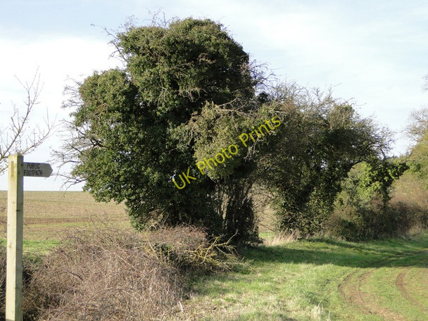Photo 6"x4" Public footpath sign East Lexham c2011