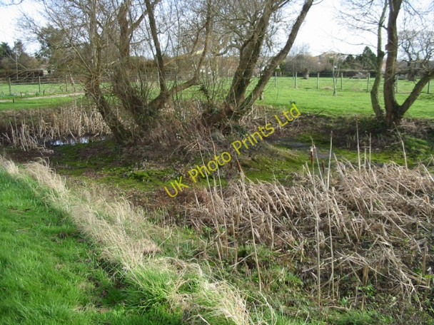 Photo 6"x4" Nearly dried up pond on Marley Lane, Finglesham Finglesham c2008