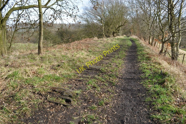 Photo 6"x4" Rowthorne Trail Rowthorne c2011