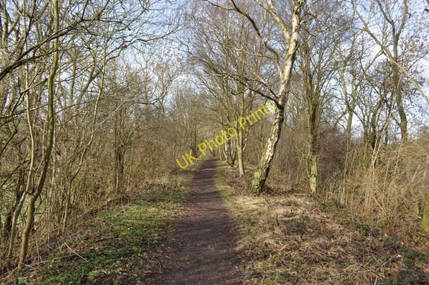 Photo 6"x4" Rowthorne Trail Rowthorne c2011