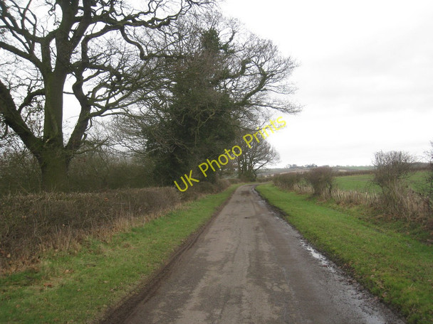 Photo 6"x4" The lane to Holtham Garrs Little London\/TF1486 c2011