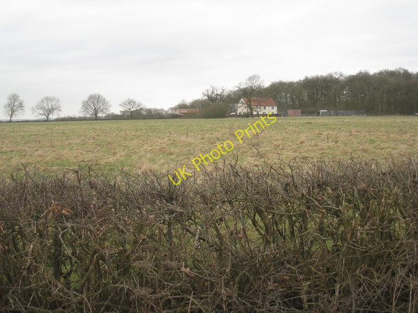 Photo 6"x4" View towards Croppersgorse Plantation Little London\/TF1486 c2011