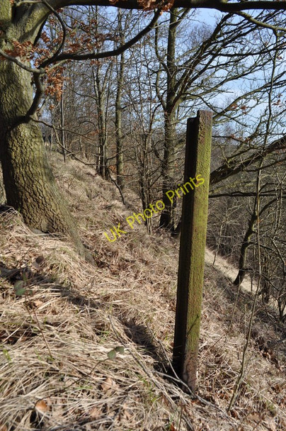 Photo 6"x4" Old Rail Post Rowthorne c2011
