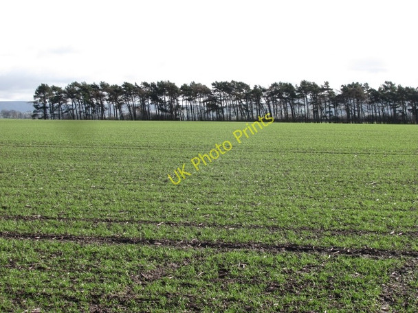 Photo 6"x4" Arable land, East Saltoun East Saltoun c2011