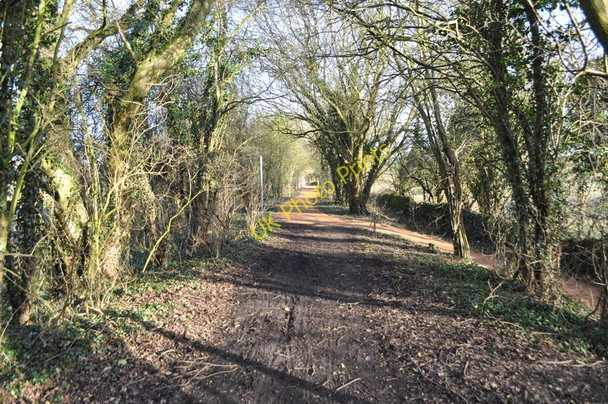 Photo 6"x4" Former Railway Line Pleasley c2011