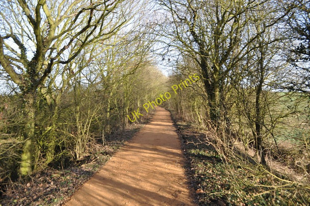 Photo 6"x4" Old Railway Line Pleasley c2011