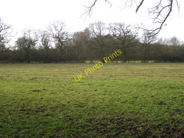 Photo 6"x4" Meadow, Deans Green nature reserve Blunt's Green c2011