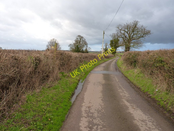 Photo 6"x4" Lane north of Catstree Farm Catstree c2011