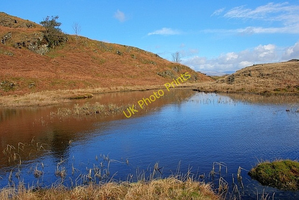 Photo 6"x4" Small Tarn on Torver Back Common Scar Head c2011