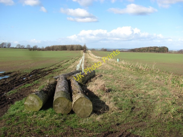 Photo 6"x4" Hedge replacement Fala\/NT4361 c2011