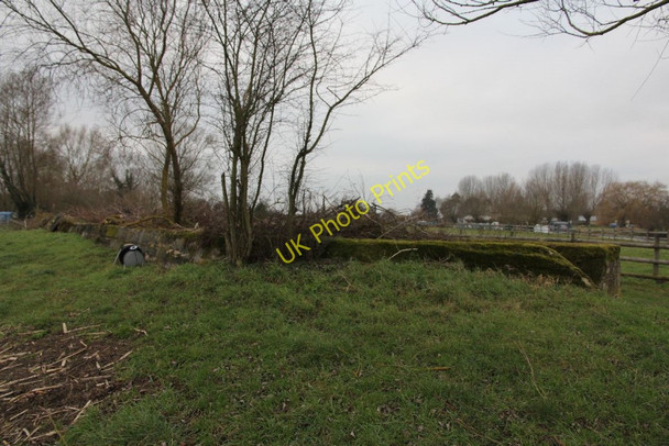 Photo 6"x4" View from the river Radcot c2011