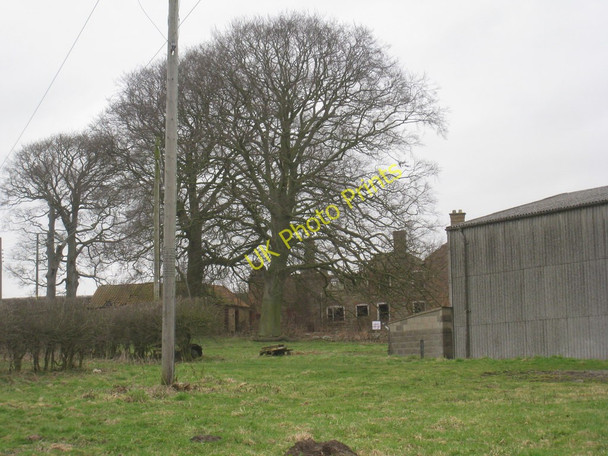 Photo 6"x4" Beck House Farm Hainton c2011