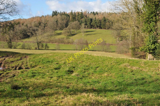 Photo 6"x4" Dulas valley Abbey Dore c2011