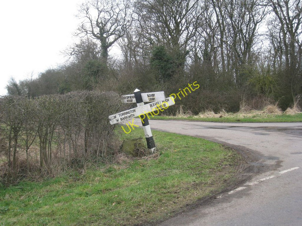 Photo 6"x4" Hedgerow support Bleasby Moor c2011