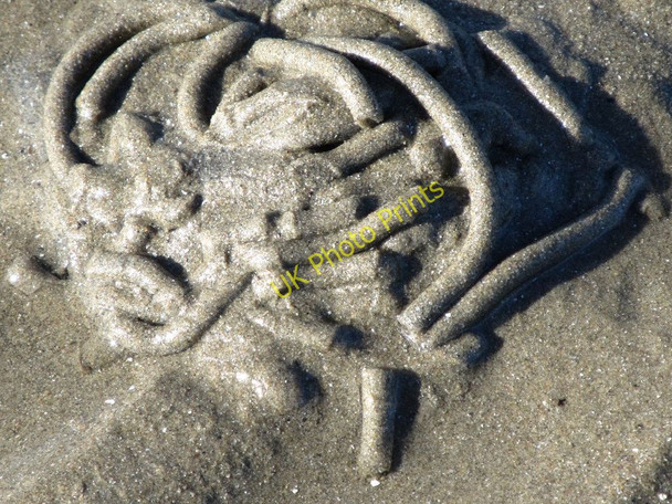 Photo 6"x4" Lugworm casts in Cranfield Bay Greencastle\/J2411 c2011