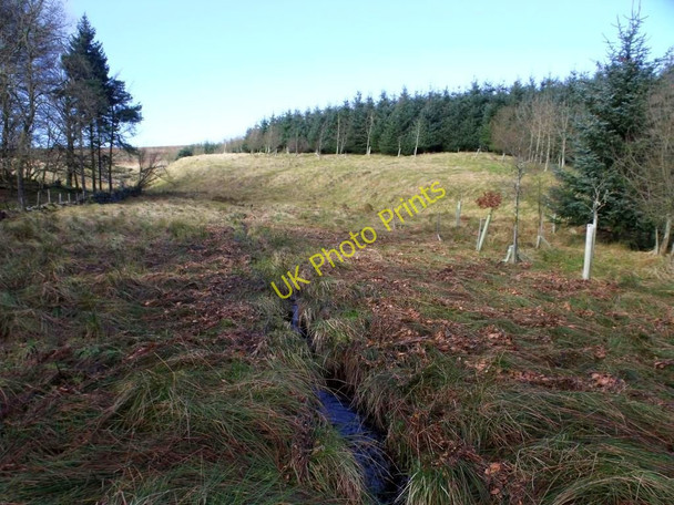 Photo 6"x4" Kilsyth Hills, Craigdouffie Burn High Banton c2011 P2