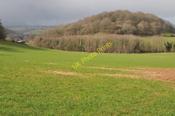 Photo 6"x4" View to Eaton Hill Vowchurch c2011