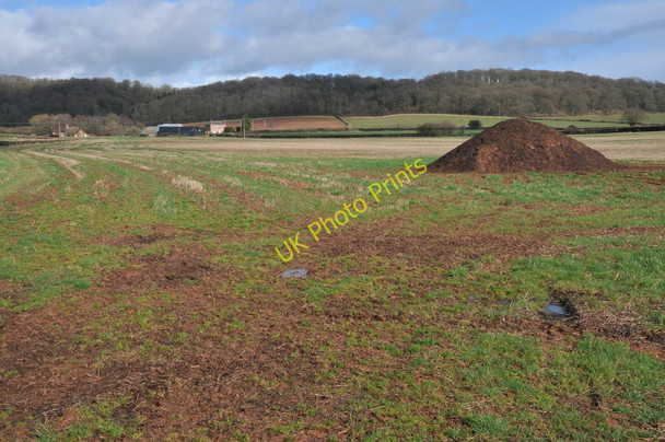 Photo 6"x4" Monnington Court Farm Vowchurch Common c2011
