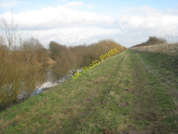 Photo 6"x4" Alongside the River Torne Ealand c2011