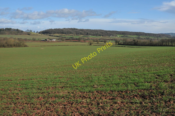 Photo 6"x4" View to Cockyard Kerry's Gate c2011